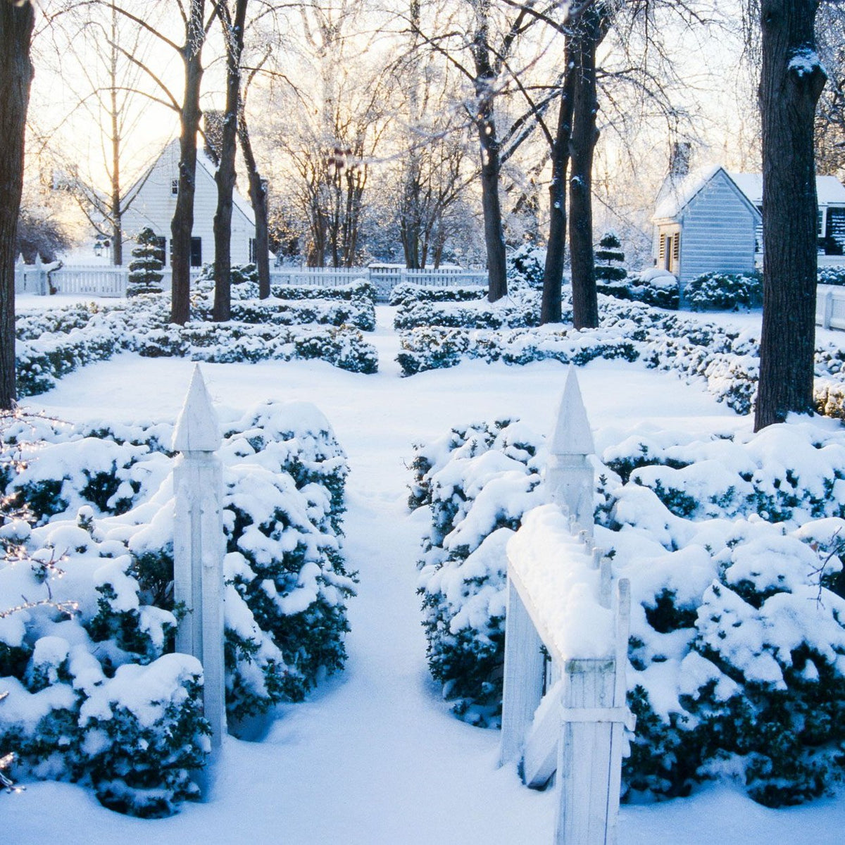 How to Prepare Your Garden for Winter in 11 Simple Steps – SavanaGarden