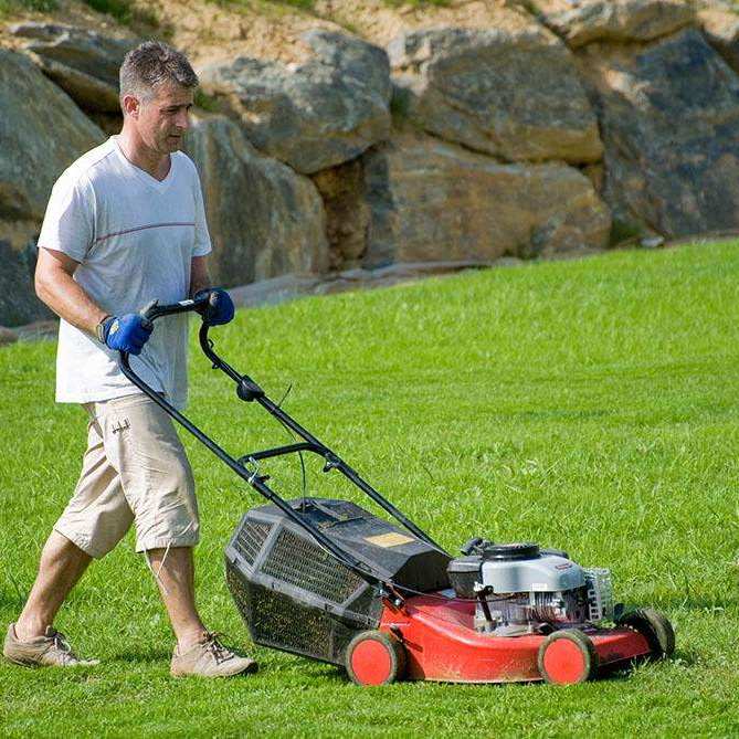 Ready for the Perfect Lawn? Discover the Essential Tips Now!