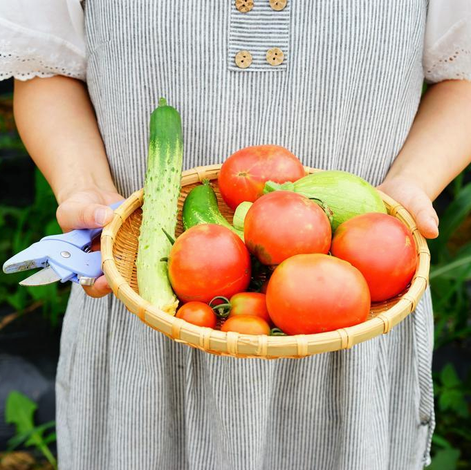 Embracing the Magic of Fall Gardening: Planning and Planting for Abundance