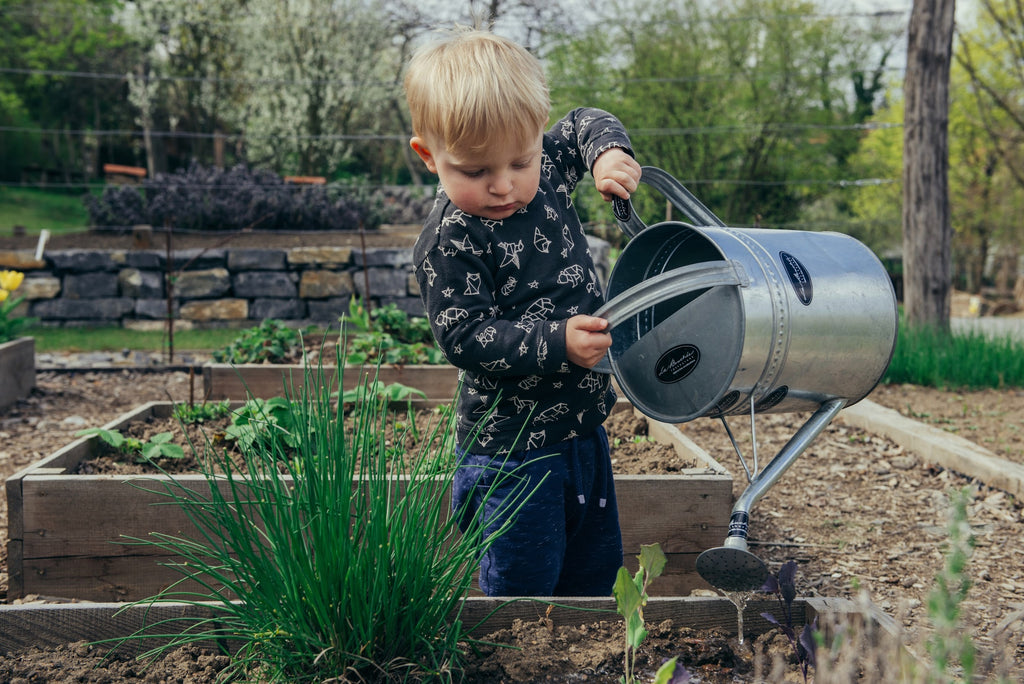 raised garden bed