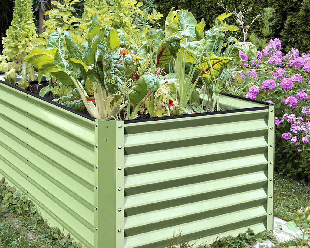 Gardening in Raised Beds: Protecting Your Joints and Growing a Lush Garden