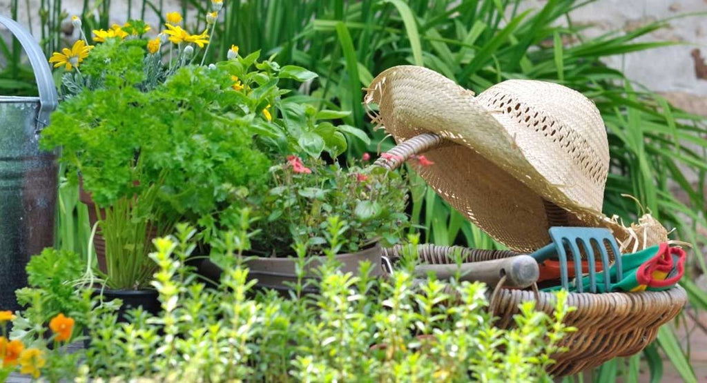 9 Ways to Get Your Garden Summer-Ready