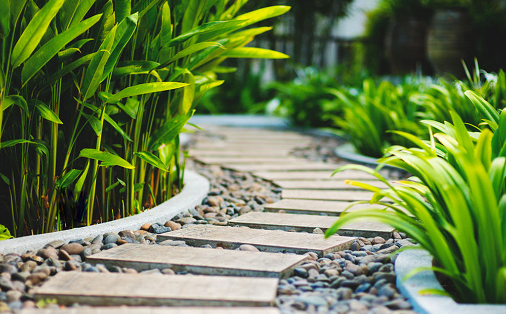 raised garden bed