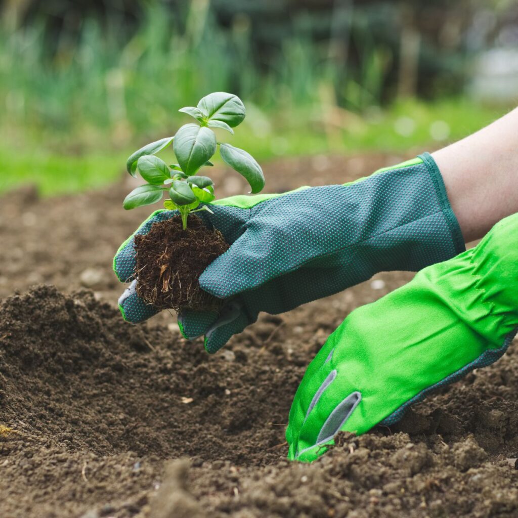 Unlock the Potential of Your Clay Soil Garden