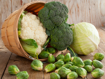 Getting a Head Start: Essential Crops to Sow in Late Winter