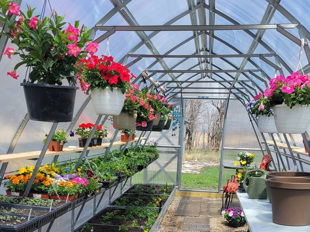 What You Need to Know Before Investing in a Greenhouse