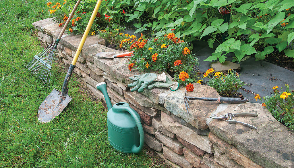 raised garden bed