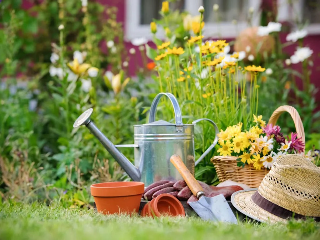 raised garden bed