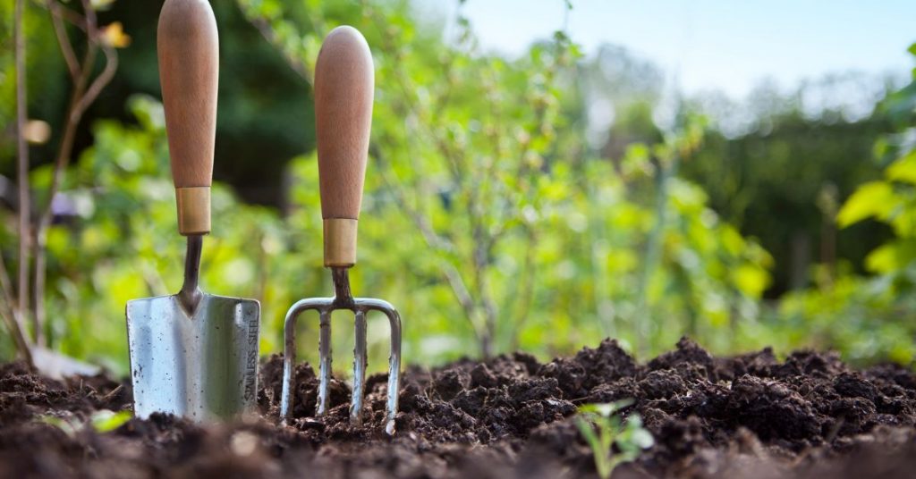 raised garden bed