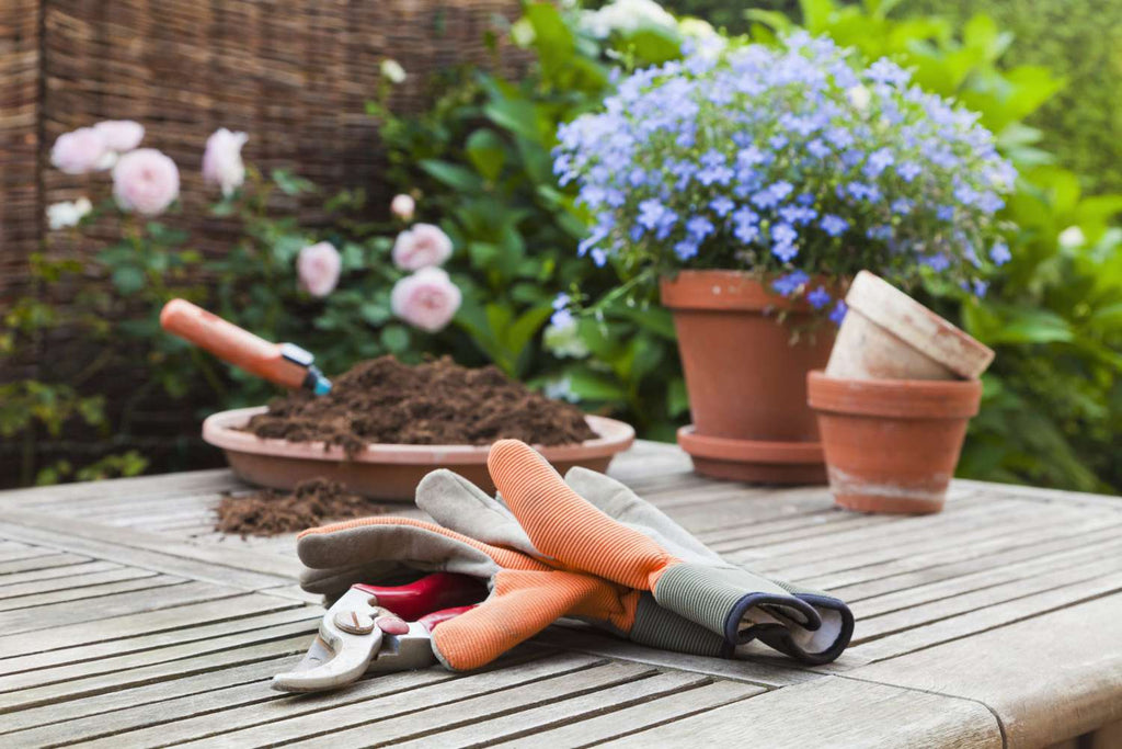 raised garden bed