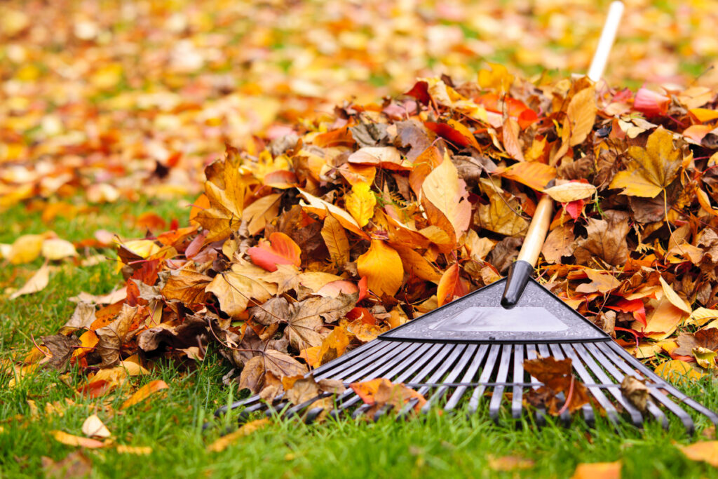 Get Your Garden Winter-Ready: 10 Must-Do October Tasks