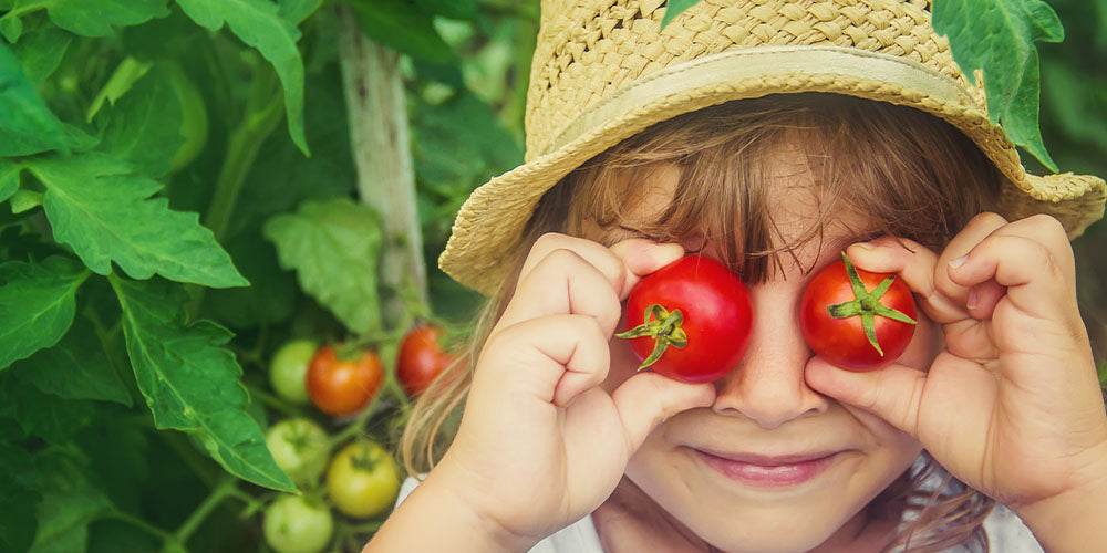 5 Key Reasons Why Growing a Food Garden Should Be Your New Year's Goal