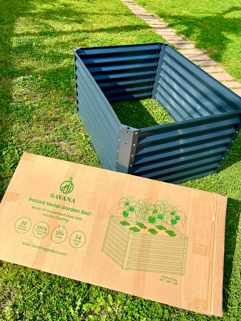 raised garden bed