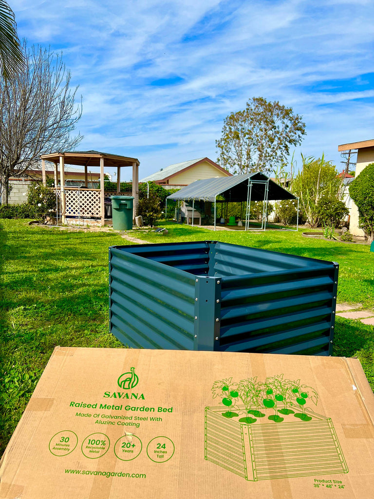 raised garden bed