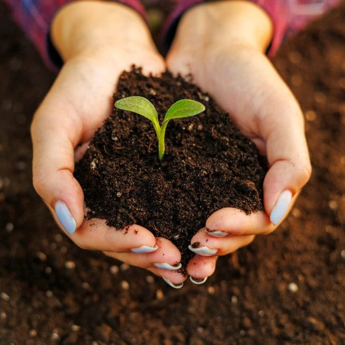 Nurturing Your Garden's Foundation: A Guide to Soil Preparation