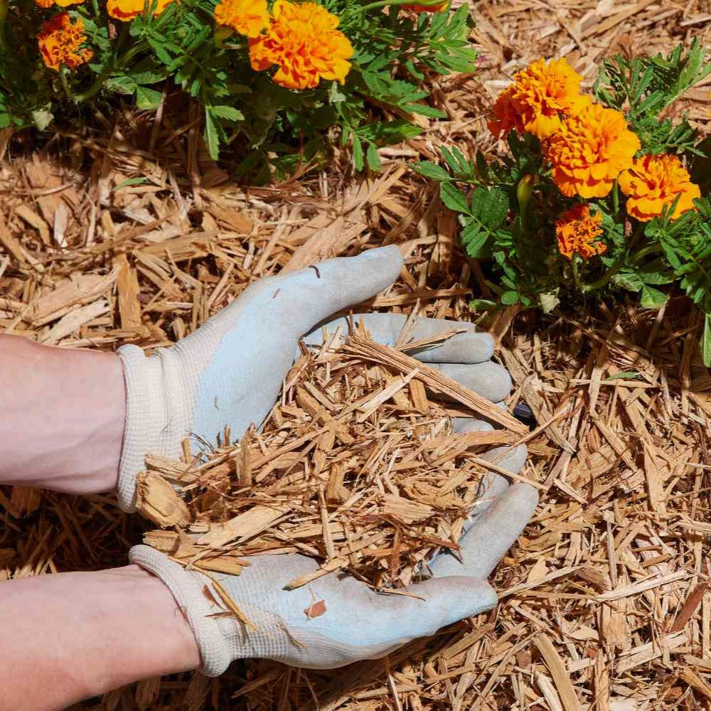 Can Thick Mulch Prevent Weeds? A Home Gardener's Guide