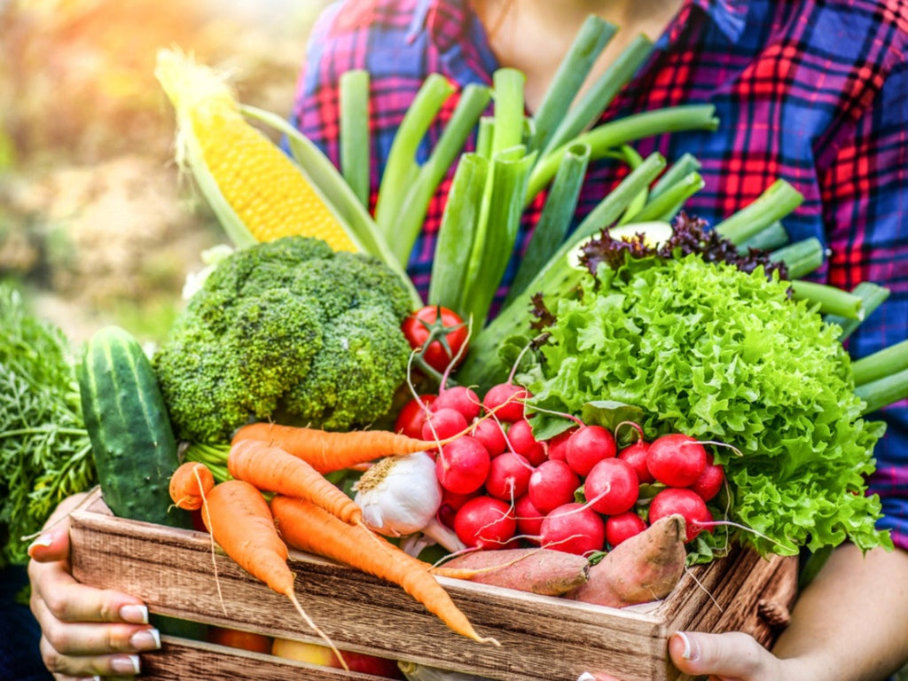 Grow Your Own: February Crops for a Self-Sufficient Lifestyle