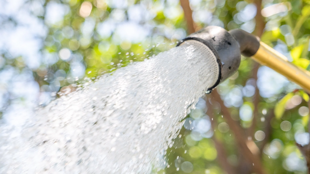 Water Your Garden Like a Pro: 5 Common Mistakes to Avoid This Summer