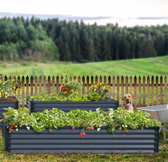 raised garden bed