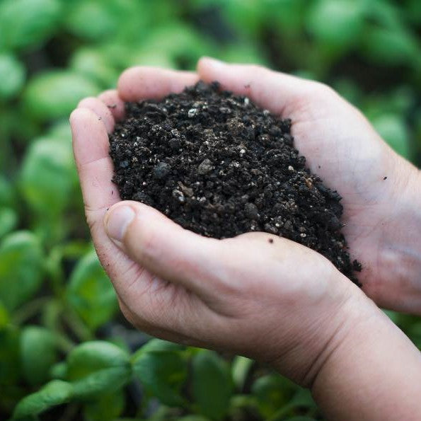 How Coffee Grounds Can Transform Your Compost Pile