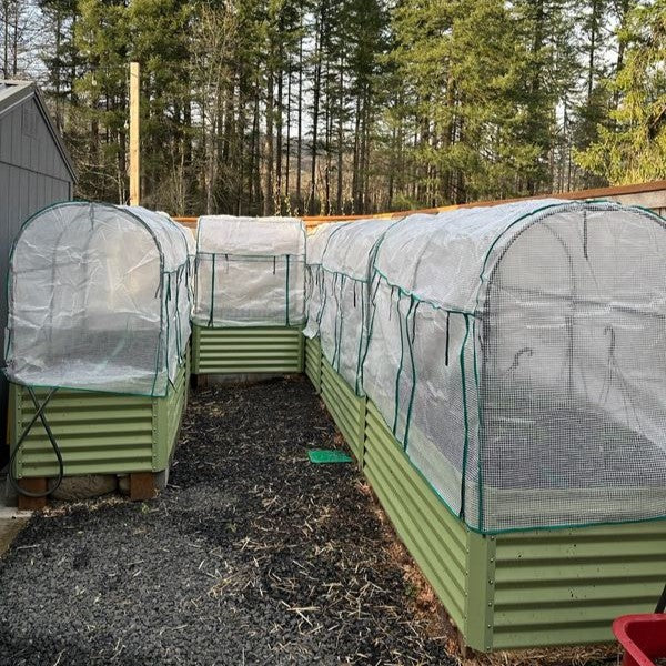 Mastering Winter Greenhouse Gardening: Tips and Considerations