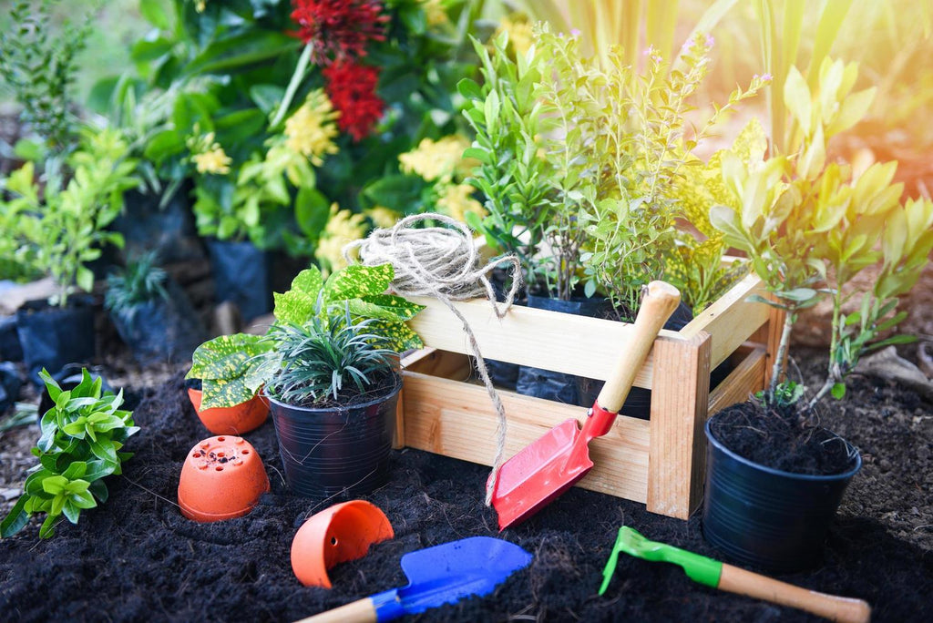 raised garden bed