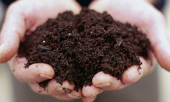 Healthy Soil, Healthy Plants – May’s Secret Weapon