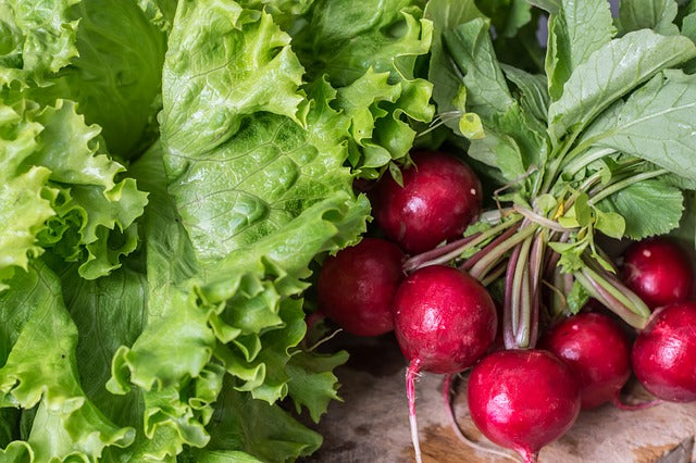 How to Successfully Plant Fast-Growing Fall Crops in September