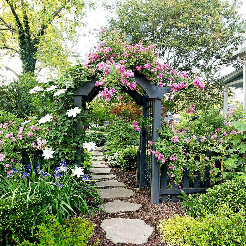 raised garden bed