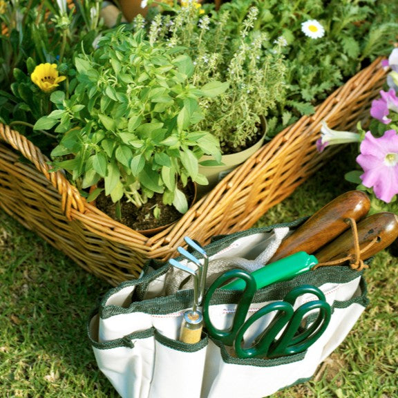 raised garden bed