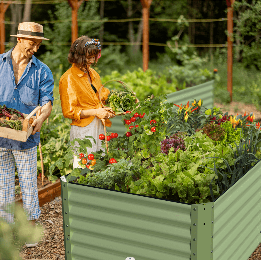 raised garden bed