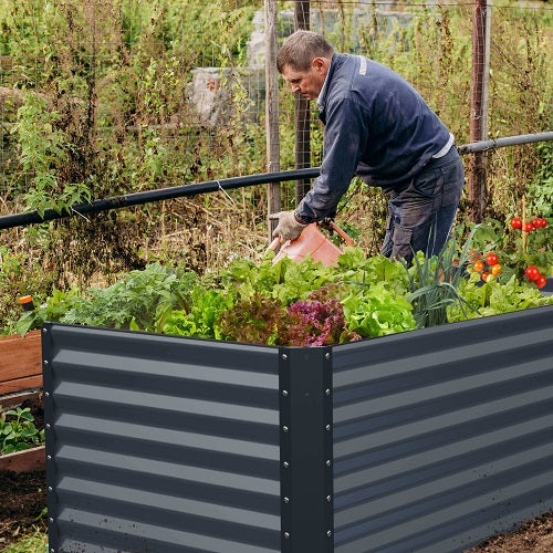 raised garden bed