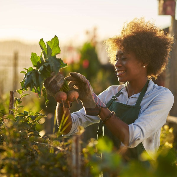 Raised Garden Bed Materials: What’s Good?