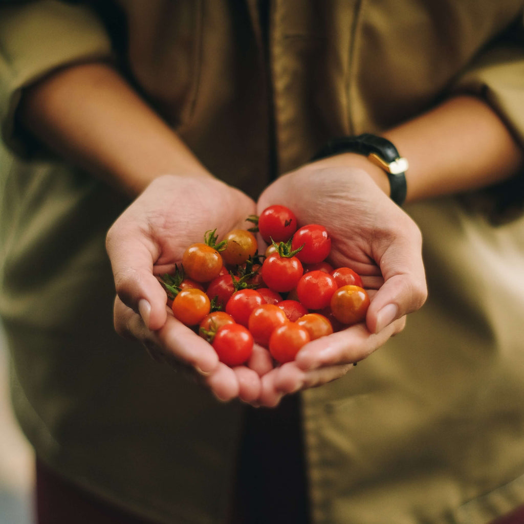 7 fun gardening activities for kids