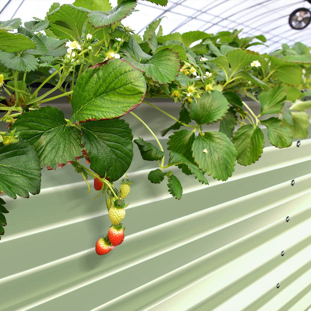 raised garden bed