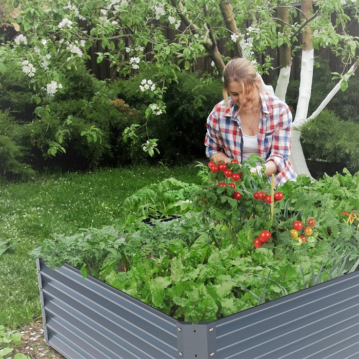  raised garden bed