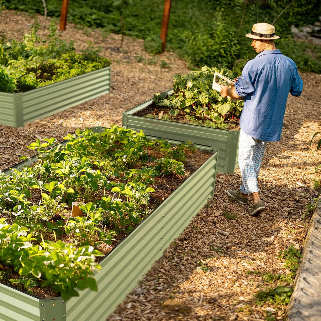 raised garden bed