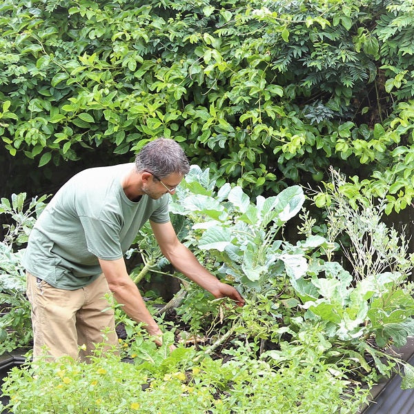  garden bed