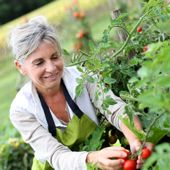 Seasonal Sensations: Growing Seasonal Fruits and Vegetables All Year Round