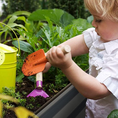  raised garden bed