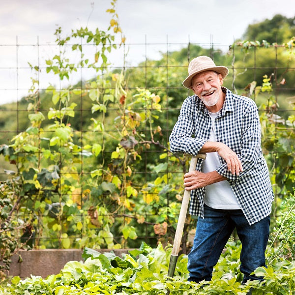 Create the ideal garden boundary: Choose the right garden fence