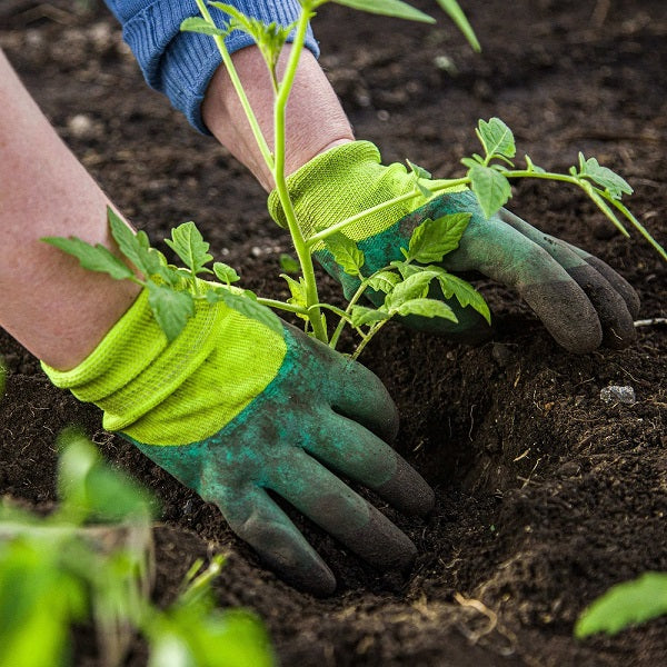 An effective way to build raised garden beds in wet areas