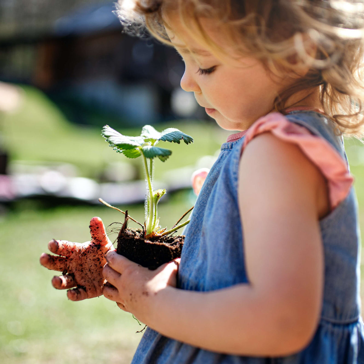 Piddling Gardening Piddling: Your New Secret to Stress Relief – SavanaGarden