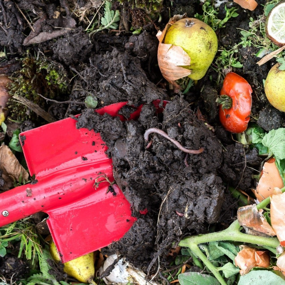 Digging into the Earth's Magic: The Art of Worm Composting for Your Flourishing Garden